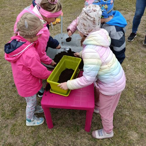 Ogródek na parapecie