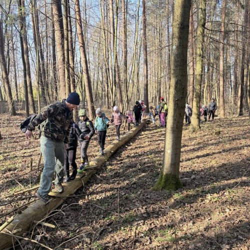 Leśna Banda – Fioletowa -wiosna