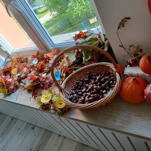 Jesienne gąsiennice w Żółtej